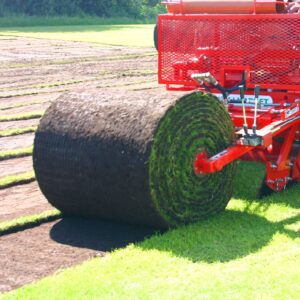 big turf roller 234