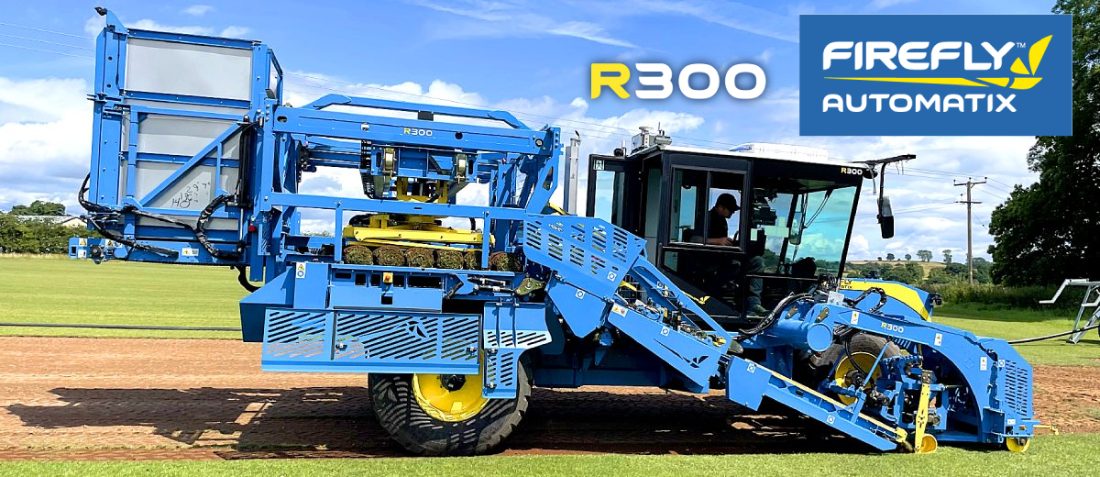 firefly3678 firefly3678